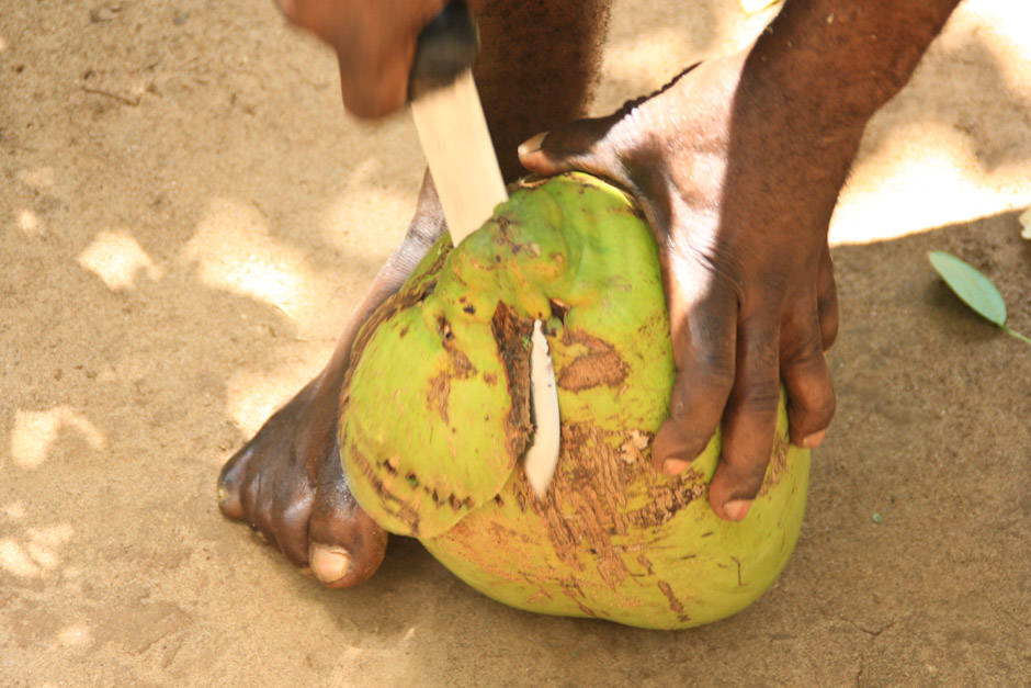 Coconut #04, Sansibar