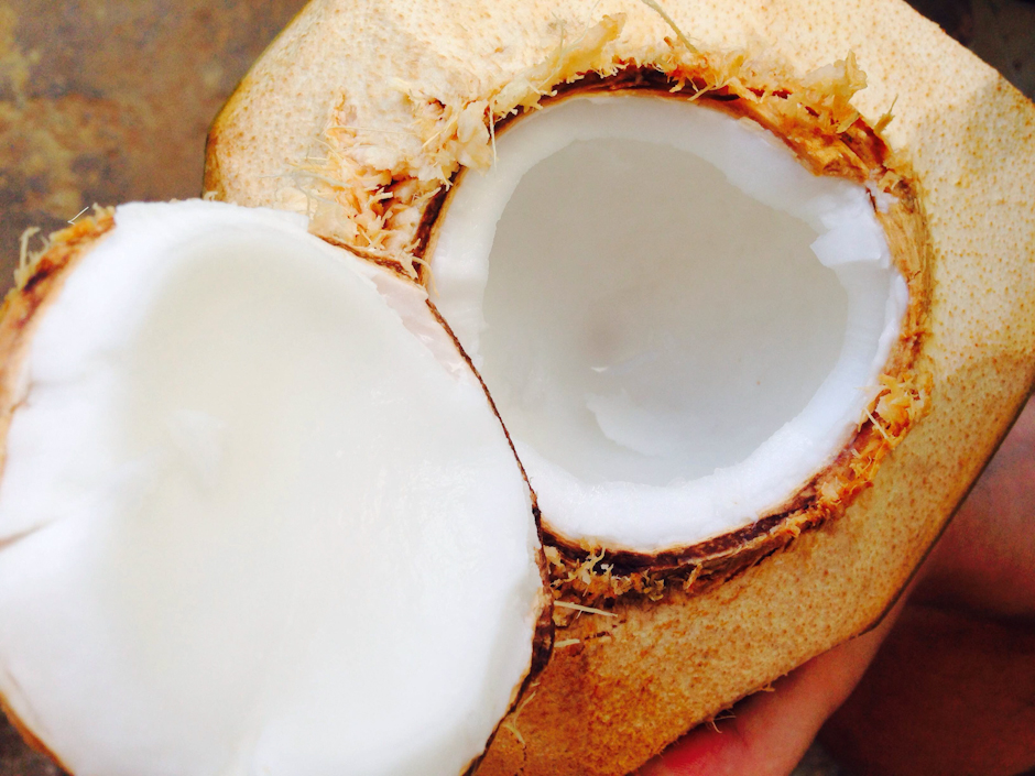 Coconut #03