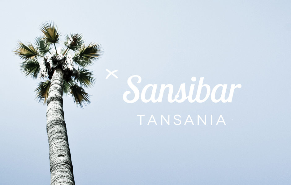 Sansibar, Tansania mit Palme