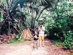 im Palmengarten, Haller Park