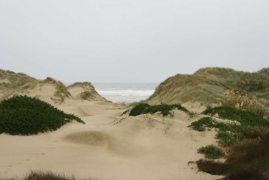 Sanddüne vor dem Ninety Mile Beach, Far-North-Distrikt