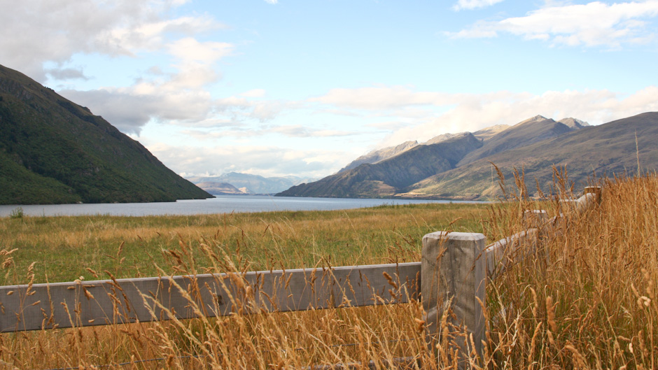 Weide vor dem Lake Wakatipu in Neuseeland